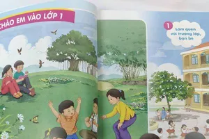 SGK không dạy chữ P: 'Không tiếp thu sửa chữa là bảo thủ'